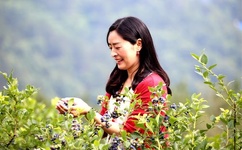 99亚洲男女激情在线观看